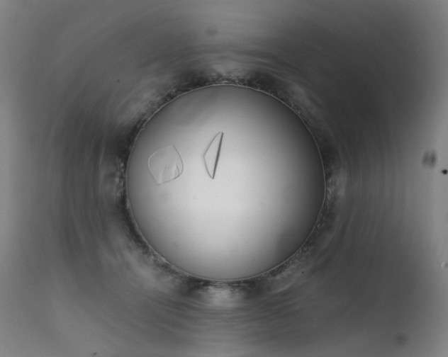 X0000111370464200907171202