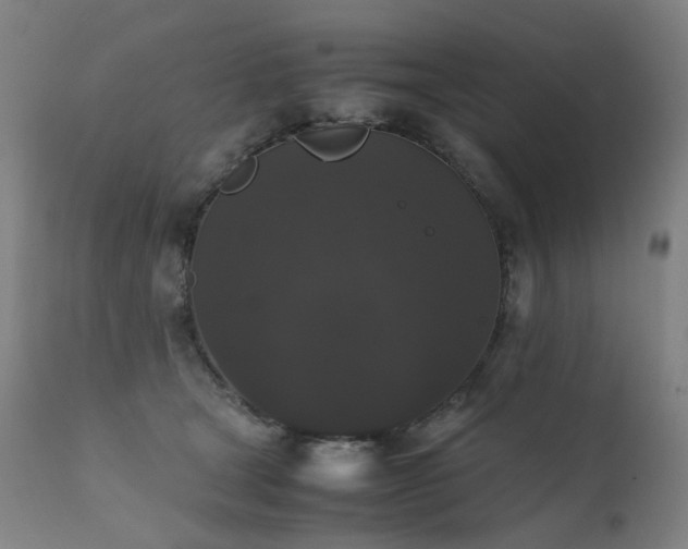 X0000111370465200907171202