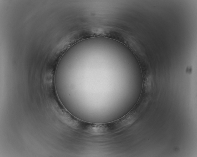 X0000111370466200907171202