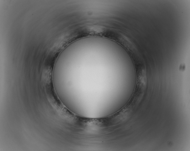 X0000111370468200907171203