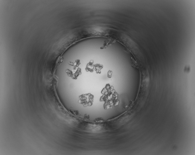 X0000111370469200907171203