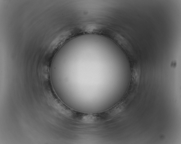 X0000111370470200907171203