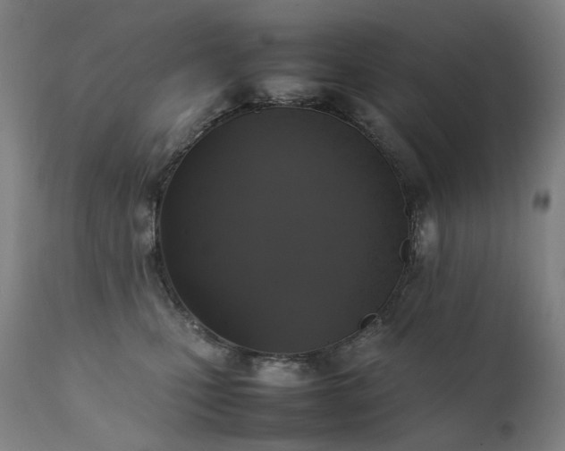 X0000111370471200907171203