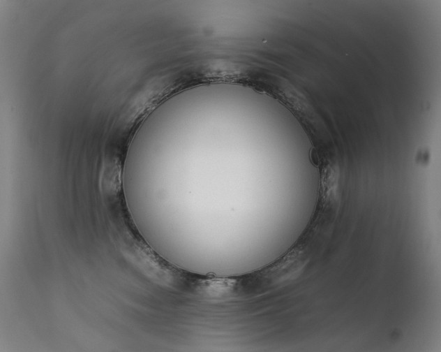 X0000111370474200907171203