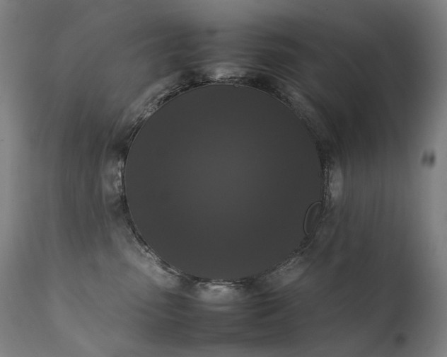 X0000111370475200907171203