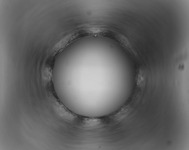 X0000111370476200907171203