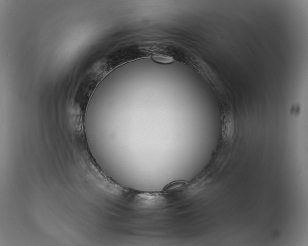 X0000111370477200907171203