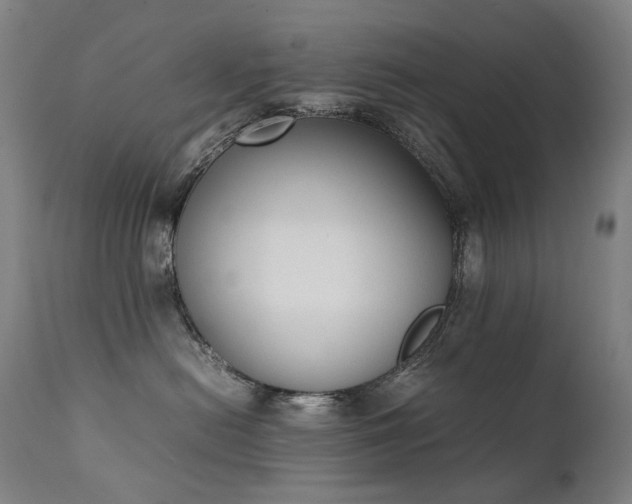 X0000111370478200907171203