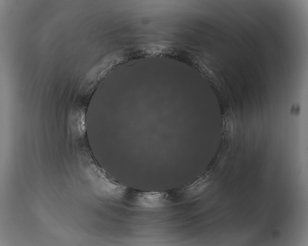 X0000111370479200907171203