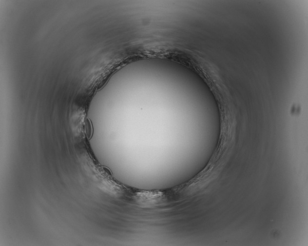 X0000111370480200907171203