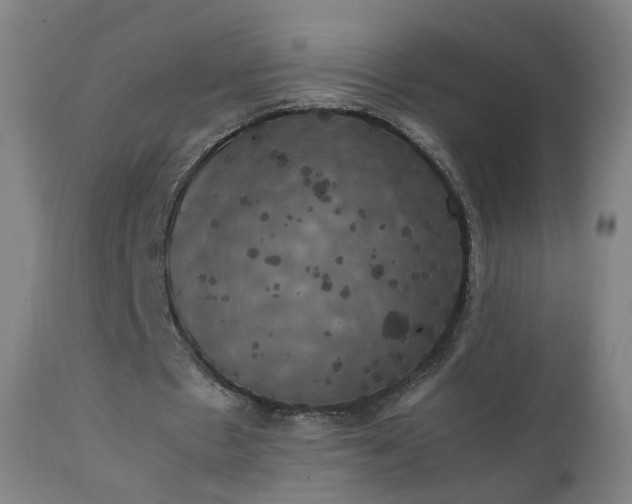 X0000111370481200907171202