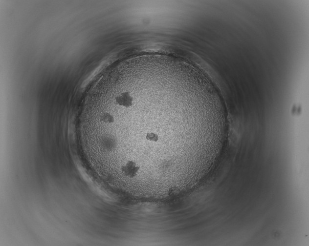 X0000111370482200907171202