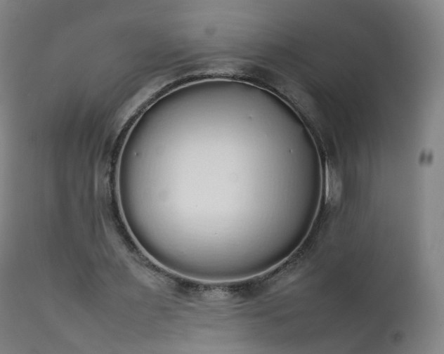 X0000111370483200907171202