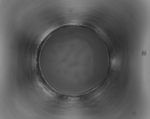 X0000111370484200907171202