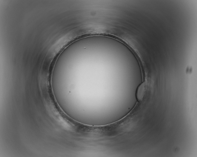 X0000111370485200907171202