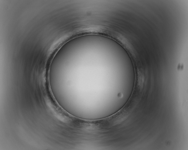 X0000111370486200907171202