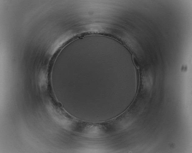 X0000111370488200907171202