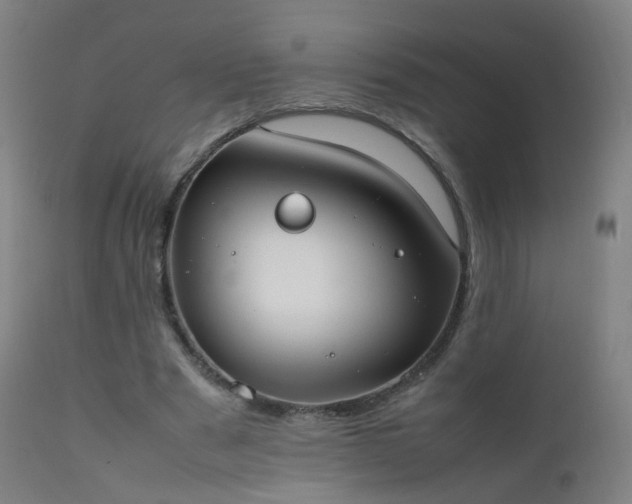 X0000111370489200907171202