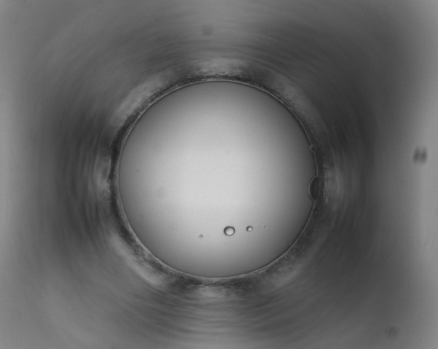 X0000111370490200907171202