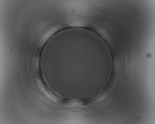 X0000111370491200907171202