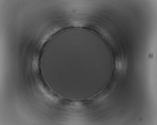 X0000111370492200907171202