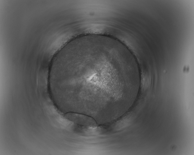 X0000111370493200907171202