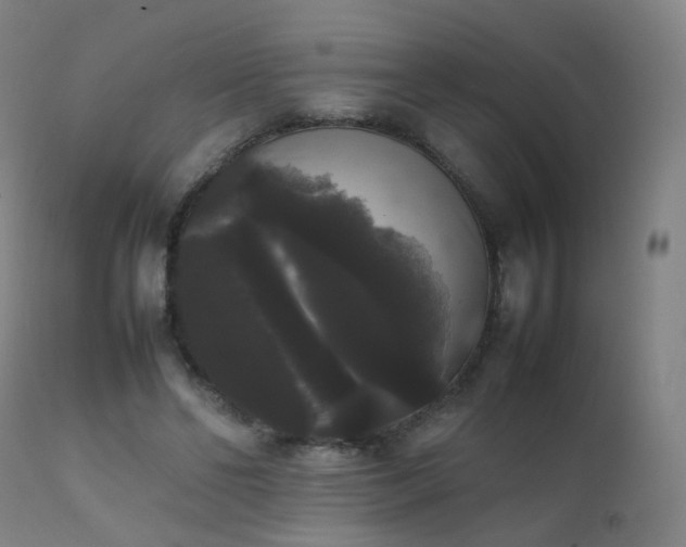 X0000111370494200907171202