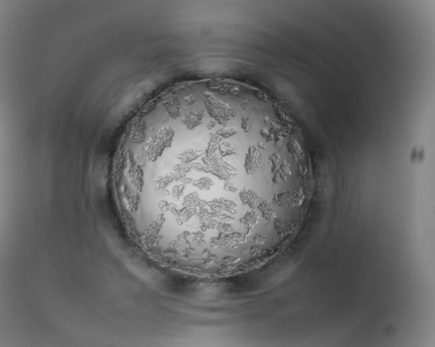 X0000111370495200907171202
