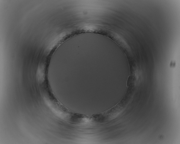 X0000111370496200907171202