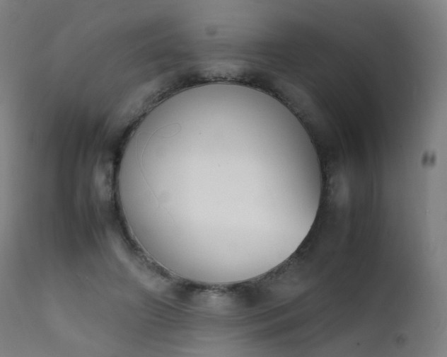 X0000111370498200907171202