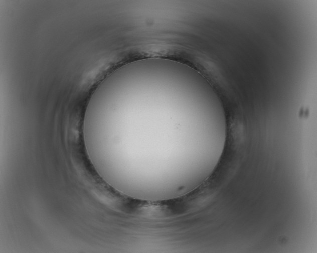 X0000111370499200907171202