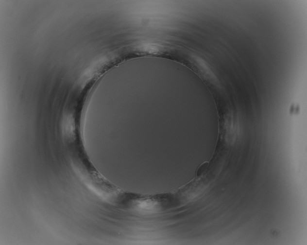 X0000111370500200907171202