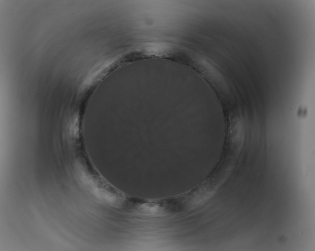 X0000111370502200907171202