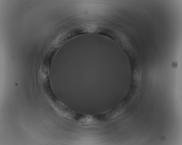 X0000111370503200907171202