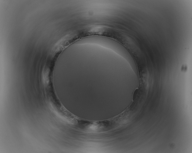 X0000111370504200907171202