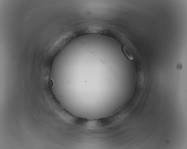 X0000111370505200907171202