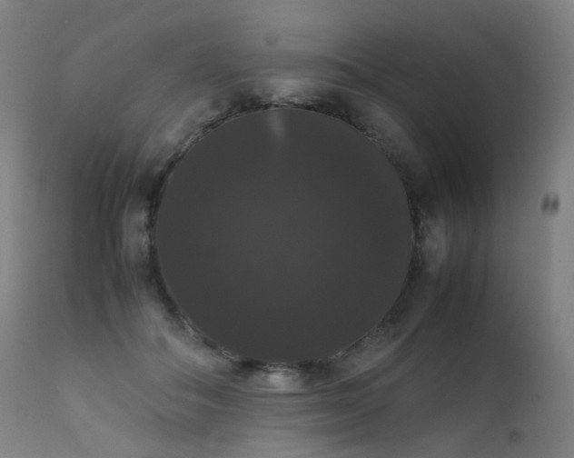 X0000111370506200907171202