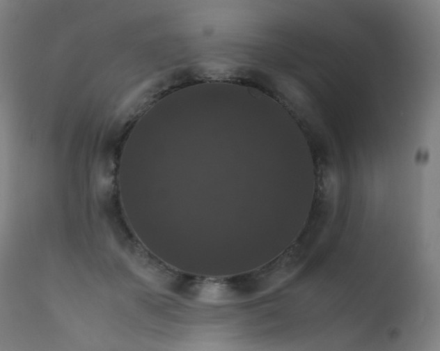 X0000111370507200907171202