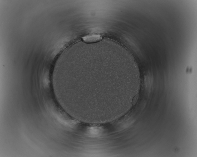 X0000111370508200907171202