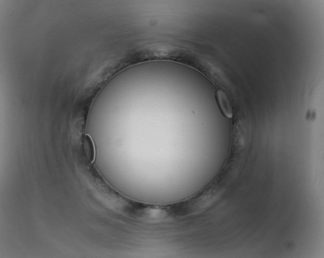 X0000111370509200907171202