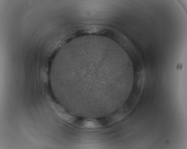 X0000111370510200907171201