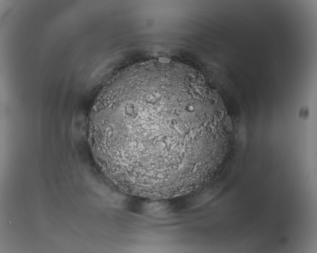 X0000111370511200907171201