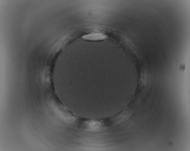 X0000111370512200907171201