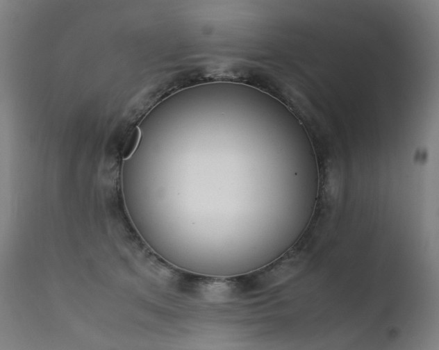 X0000111370513200907171201