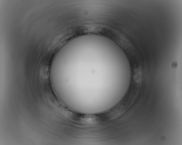 X0000111370514200907171201