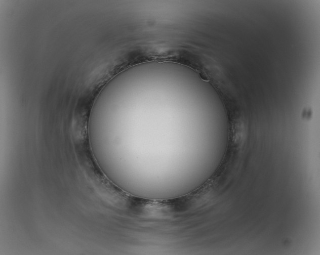 X0000111370515200907171201