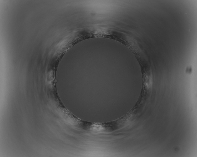 X0000111370519200907171201