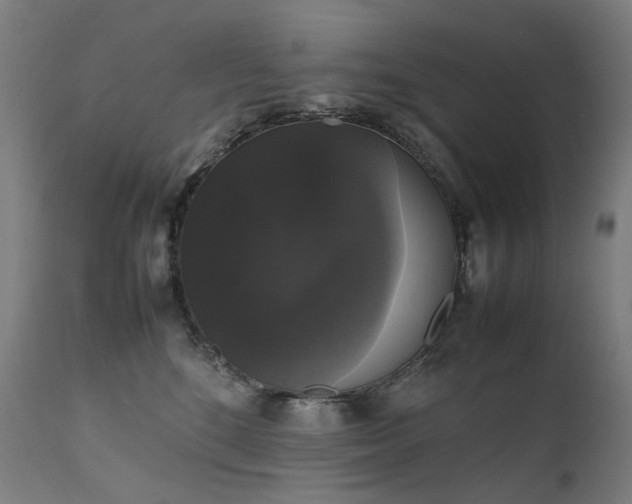 X0000111370520200907171201