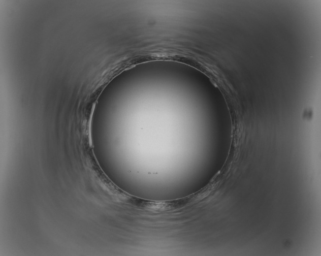 X0000111370521200907171201