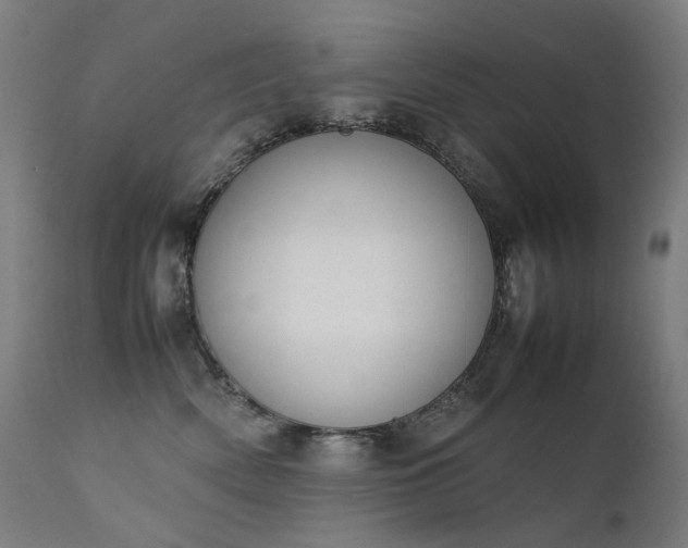 X0000111370522200907171201